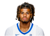 https://img.jingbaotiyu.cn/img/basketball/player/9622303793af5bff782de7c5505c9360.png
