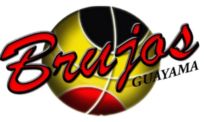 https://img.jingbaotiyu.cn/img/basketball/team/0754ce49c32caa0375ce23c632929717.png