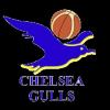 https://img.jingbaotiyu.cn/img/basketball/team/0d36b73786230e17d7d718ab10adab87.png