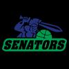 https://img.jingbaotiyu.cn/img/basketball/team/137be9e2d3c9050700f20abc455c0f38.png