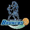 https://img.jingbaotiyu.cn/img/basketball/team/2174e7e8658c453cb46cf31c8e8a8cd9.png