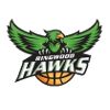 https://img.jingbaotiyu.cn/img/basketball/team/2b1e4d737f0d418d905ed896d80dea4b.png