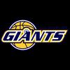 https://img.jingbaotiyu.cn/img/basketball/team/3b4ec30e0bc04a014b6f5290bc485e49.png
