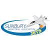 https://img.jingbaotiyu.cn/img/basketball/team/3c99fe4a0e23df246ae405140d32c1b9.png