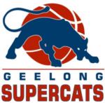 https://img.jingbaotiyu.cn/img/basketball/team/76878e790a82e3e91e449700c7b1bf84.png