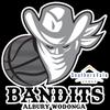 https://img.jingbaotiyu.cn/img/basketball/team/9eb37cd46df78be2e01673dea19c6658.png