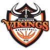 https://img.jingbaotiyu.cn/img/basketball/team/a56d05879a6349aba5da50a03b948693.png