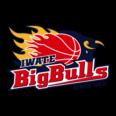 https://img.jingbaotiyu.cn/img/basketball/team/bcb478f91fa9177647848bc08ccc209c.png