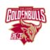 https://img.jingbaotiyu.cn/img/basketball/team/d1d77f07287fe840a7e77459e5bd1bfc.png