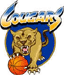 https://img.jingbaotiyu.cn/img/basketball/team/dfbc8a7d044c44b6986f4490a735959b.gif