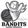 https://img.jingbaotiyu.cn/img/basketball/team/ef73676a32a4e71a3a7d82f4538445dc.png