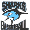 https://img.jingbaotiyu.cn/img/basketball/team/fc6632a794e74357912e097eadf99a17.png