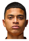 https://img.jingbaotiyu.cn/img/football/player/0705558ab3118779b491e48b13718d02.png