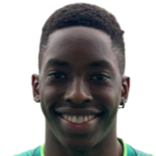 https://img.jingbaotiyu.cn/img/football/player/073fafbb1f05d2b6376cf1efcbfb6937.png