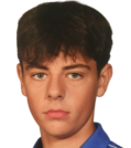 https://img.jingbaotiyu.cn/img/football/player/085143acca82acaa9854fe2485376d5e.png