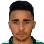 https://img.jingbaotiyu.cn/img/football/player/0c51bdf5baed27a613ee709dc196ce7f.png