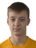 https://img.jingbaotiyu.cn/img/football/player/12f09bbfdcf6c86a703655091c38d646.png