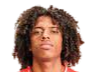 https://img.jingbaotiyu.cn/img/football/player/135ad8787fd13961a93e165e79e736ff.png