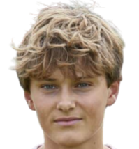 https://img.jingbaotiyu.cn/img/football/player/1a08b84bb73ec71ae4612648530f0395.png