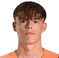https://img.jingbaotiyu.cn/img/football/player/1e3f25350d462d471918a6a221d254fc.png