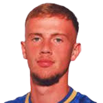 https://img.jingbaotiyu.cn/img/football/player/1ea502df31a0fd652a9f6c4223713521.png