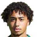 https://img.jingbaotiyu.cn/img/football/player/347a6d58ae7ec0425a4d42bc9215c411.png
