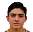 https://img.jingbaotiyu.cn/img/football/player/3a5c58b40bc40ea739ca073637c3f105.png