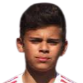 https://img.jingbaotiyu.cn/img/football/player/40b55a8deb7c88b3c83ce1f603e68cc3.png