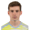 https://img.jingbaotiyu.cn/img/football/player/42febc71cb8a1e0e40e1da3768e43dcd.png