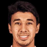 https://img.jingbaotiyu.cn/img/football/player/471218fe6b57f00febceabac9104a5b1.png