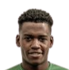 https://img.jingbaotiyu.cn/img/football/player/544af567031ccdb4df358505b343beaf.png