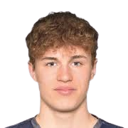 https://img.jingbaotiyu.cn/img/football/player/59309aea4d4e3d14e8246c96789a72db.png