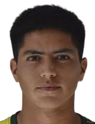 https://img.jingbaotiyu.cn/img/football/player/593ada0d7956416c62dcbb7289ee303b.png