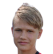 https://img.jingbaotiyu.cn/img/football/player/5c5870db77d793116f3393750b583454.png