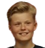 https://img.jingbaotiyu.cn/img/football/player/723ef4abd684388bfc076423632db5d0.png