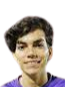 https://img.jingbaotiyu.cn/img/football/player/79c3a041737923f2795a82fbe6dd8fd1.png