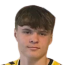 https://img.jingbaotiyu.cn/img/football/player/880111230830039566518578f2ef52b1.png
