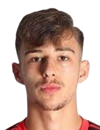 https://img.jingbaotiyu.cn/img/football/player/9560c6e0ad8249f8aa14eee384273f35.png