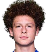 https://img.jingbaotiyu.cn/img/football/player/9597ace3a65a48cd0087550d97317ab0.png