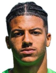 https://img.jingbaotiyu.cn/img/football/player/9d19e8105f21de966d2bd3d37a69a199.png