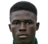 https://img.jingbaotiyu.cn/img/football/player/a288a06d8812414cb865220f79687d7d.jpg