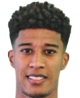 https://img.jingbaotiyu.cn/img/football/player/a6ea4c101369a75627e03b16910f3b6c.png
