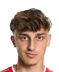 https://img.jingbaotiyu.cn/img/football/player/ab7fa252b4542701b14ef268098f9306.png