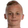 https://img.jingbaotiyu.cn/img/football/player/abe497830979567d83ab72ba5e7410f5.png