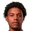 https://img.jingbaotiyu.cn/img/football/player/afe0d12610008af3f290c35ad789406f.png
