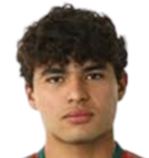 https://img.jingbaotiyu.cn/img/football/player/c7db5c167ab9b263af576370fccfbc89.png