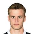 https://img.jingbaotiyu.cn/img/football/player/cab5b32a13cec7669c4db2130d59b28c.jpg