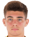 https://img.jingbaotiyu.cn/img/football/player/cdf460848e3a959d0508a953ed29dc0c.png