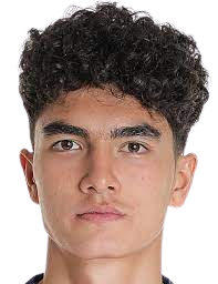 https://img.jingbaotiyu.cn/img/football/player/d1fe68b01a29d5704d62cabd46b2d5ac.png