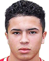 https://img.jingbaotiyu.cn/img/football/player/d95054a0e727f334463fc369b55f13a2.png